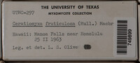 Image Associated With the Occurence
